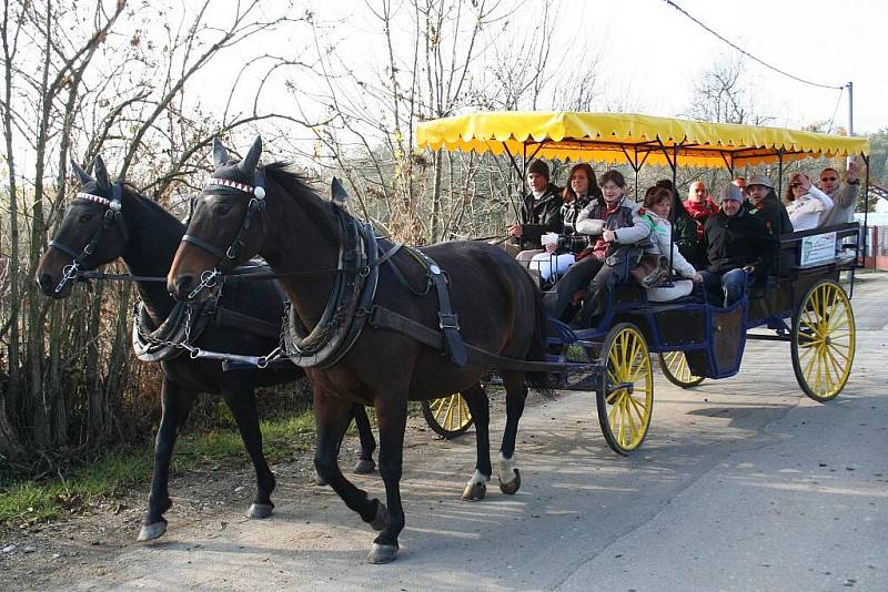 Hubertova jízda je pro milovníky koní velkým svátkem. Platilo to i v Lednici.