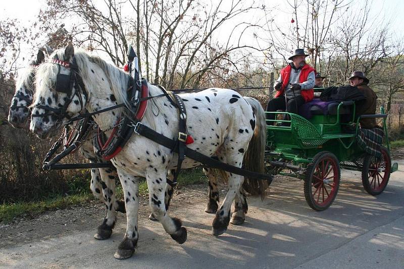 Hubertova jízda je pro milovníky koní velkým svátkem. Platilo to i v Lednici.