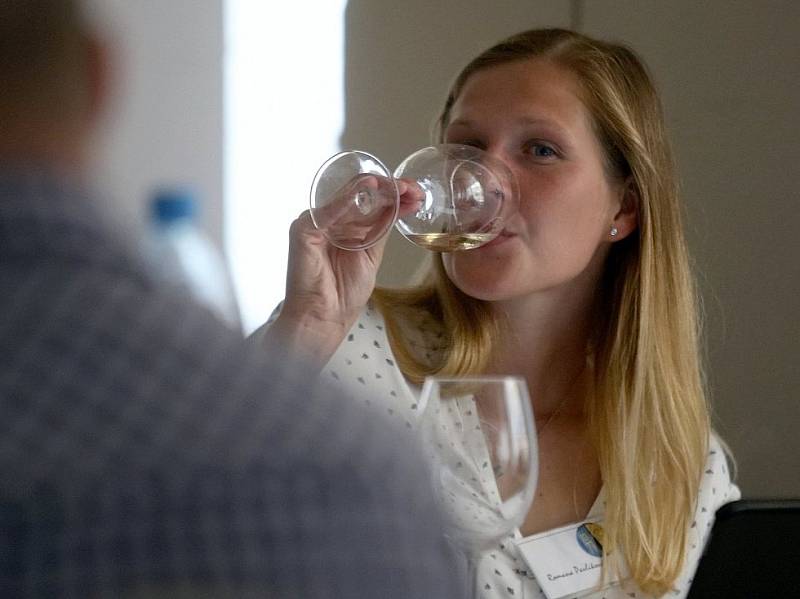 Pounají historii vinařství i s ochutnávkou vín