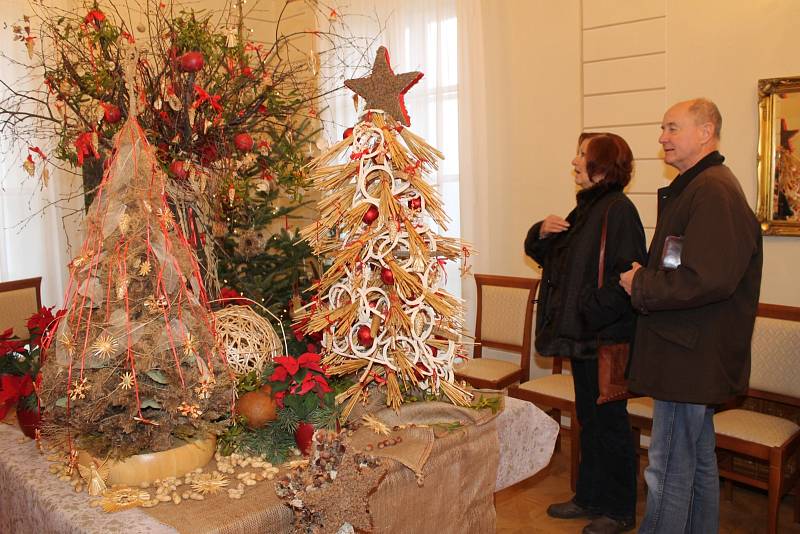 Třicet originálních květinových stylizací vánočních stromků nabídl o víkendu Rybniční zámeček u Lednice. Pestrá expozice, která zahrnovala třeba i vinařský stromek se skleněnými lahvemi, přilákala stovky návštěvníků.