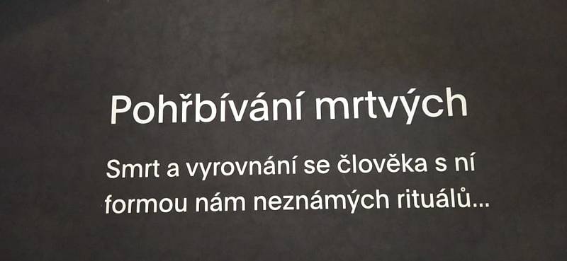 Atraktivní expozice Archeoparku Pavlov nabízí díky moderním audiovizuálním technologiím možnost putovat do pravěku všem generacím návštěvníků.