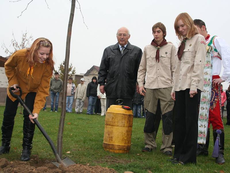 V Lanžhotě zasadili památnou lípu.