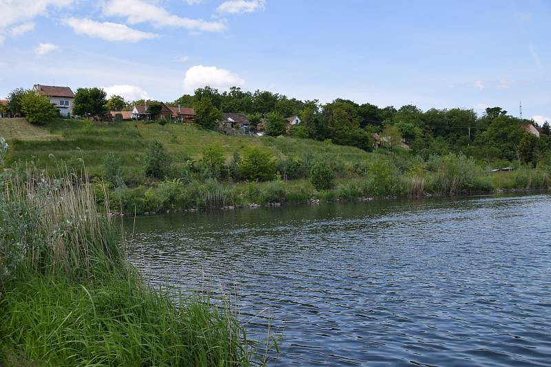 Řeka Dyje v Bulharech