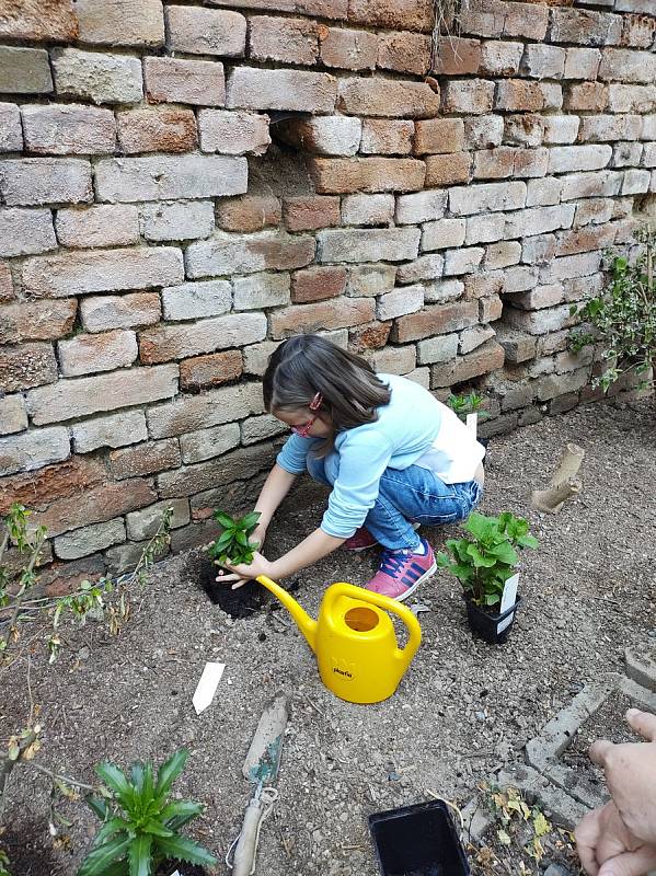 Boleradičtí školáci se zapojili do projektu Voda v zahradě.