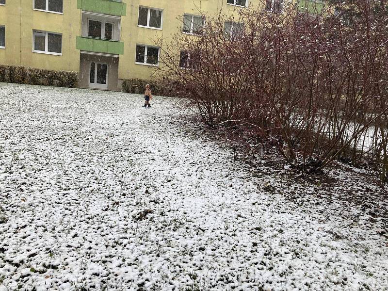 Z prvních sněhových vloček měly radost hlavně děti. Na snímku Matýsek z Brna.