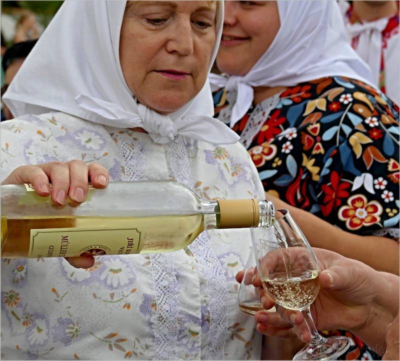 Slavnostní otevření letohrádku Belveder ve Valticích.