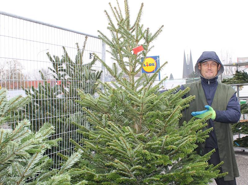 Prodejce před břeclavským hypermarketem Lidl začal prodávat vánoční stromky už v pátek.