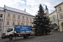 Vánoční strom na Náměstí v Mikulově.