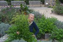 Věra Žďárská je odborná garantka valtické bylinkové zahrady. Zajišťuje pro veřejnost rovněž širokou paletu zajímazvých kurzů.