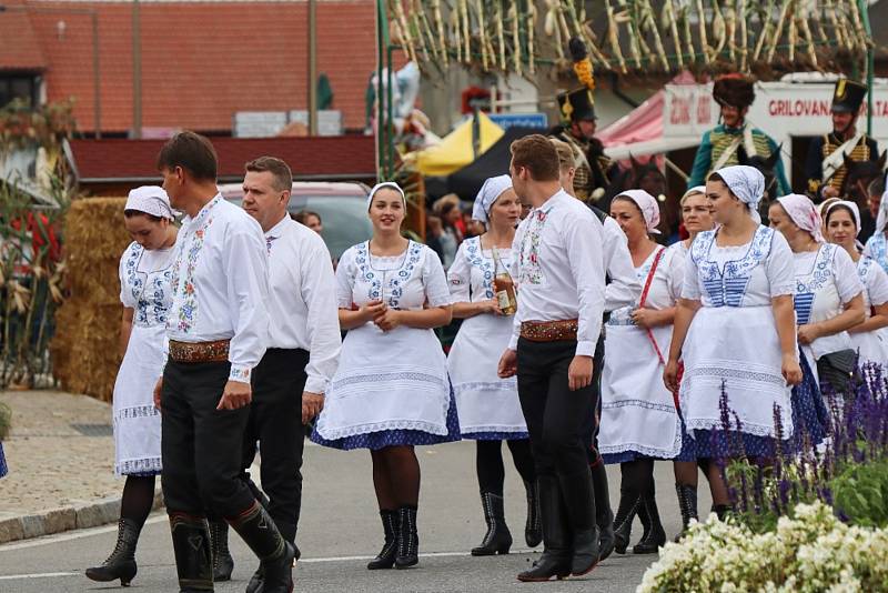 Ohlédnutí za letošním vinobraním ve Velkých Pavlovicích.