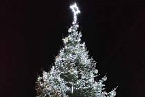 Drnholec. Vítězný vánoční strom Jihomoravského kraje, který postupuje do finále ankety Deníku o nejkrásnější vánoční strom.