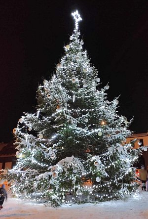 Drnholec. Vítězný vánoční strom Jihomoravského kraje, který postupuje do finále ankety Deníku o nejkrásnější vánoční strom.
