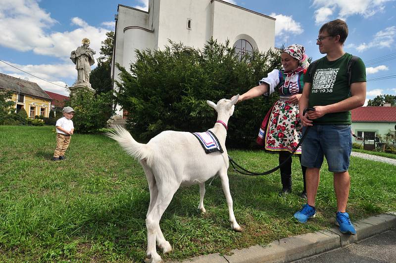 Na předválečné hody se do Jevišovky sjíždí moravští Chorvaté z celé republiky