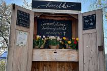 Výhradně tradiční lokální květiny bez pesticidů. Zájemci je mohu nakoupit v automatu v Němčičkách na Břeclavsku.