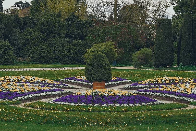 Tulipánová nádhera i letos zdobí zámecký park v Lednici na Břeclavsku.