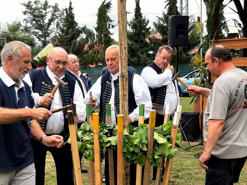 Horu zarazili v Popicích s mužáky i verbířem