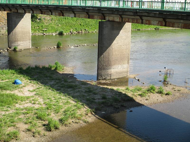 Týdny se válel nepořádek v korytě řeky Dyje v Břeclavi. Upozornila na něj Břeclavanka Slávka Čermáková.