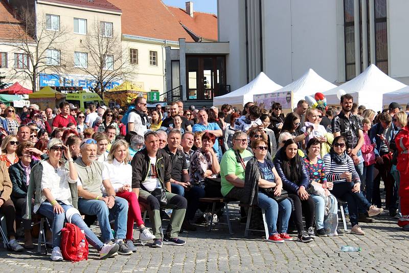 Slavnosti mandloní a vína v Hustopečích na Břeclavsku.