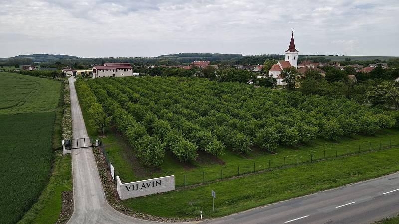 Rodina Kasparových v Dobrém Poli roky budovala Gravitační vinařství Vilavin. Způsobem zpracování hroznů se řadí k jedněm z mála na světě.