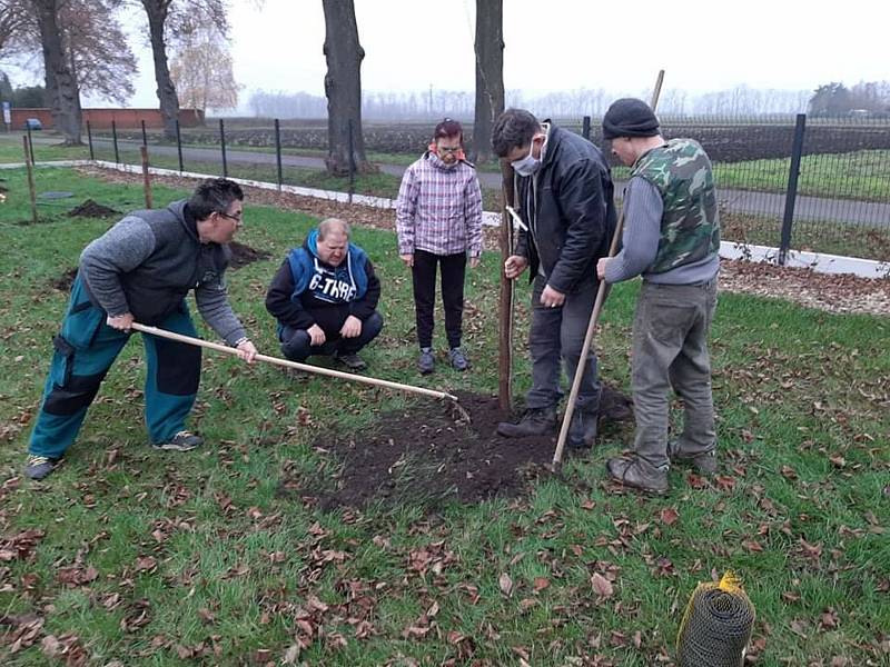 Pilno měli klienti Chráněného bydlení v Lednici hlavně před Vánocemi. Foto: Archiv zařízení