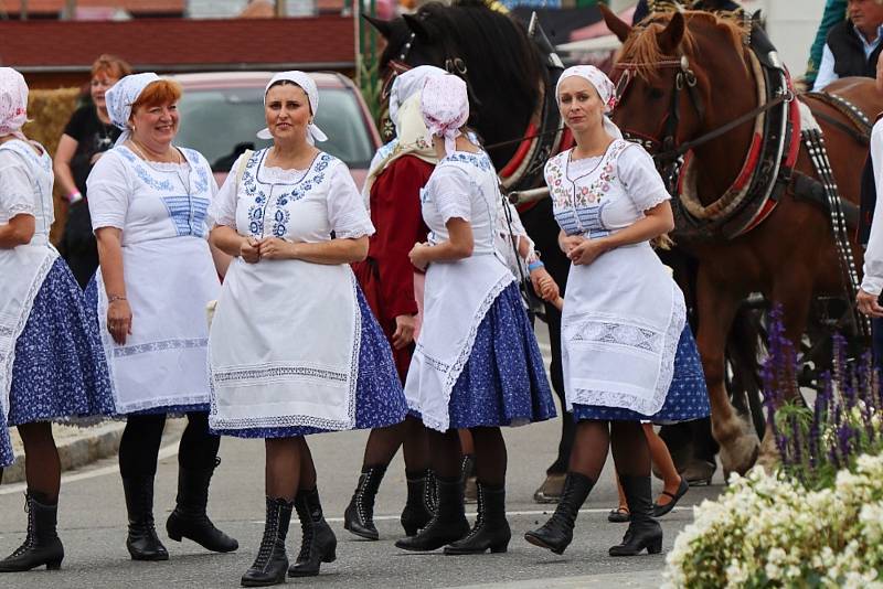 Ohlédnutí za letošním vinobraním ve Velkých Pavlovicích.