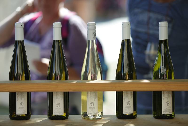 Pálavské vinobraní přilákalo tisíce návštěvníků.