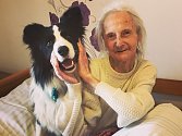 Michaela Rohrerová z Uherčic na Břeclavsku pomáhá léčit důchodce se svým speciálně vycvičeným psem (na snímku). Terapií zvanou canisterapie.
