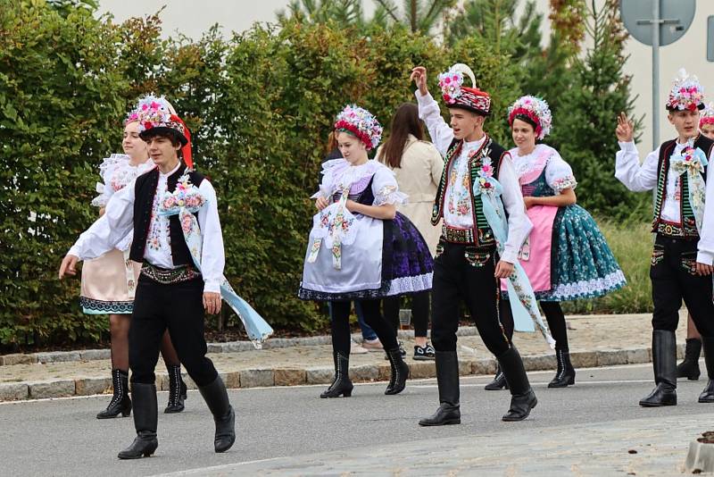 Ohlédnutí za letošním vinobraním ve Velkých Pavlovicích.