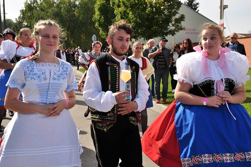 V krojích, s koňmi i jako bohyně vína. Studenti Střední vinařské školy Valtice rozzářili město průvodem. Uspořádali slavnostní vinobraní.