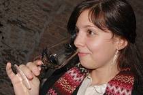 Zahájení devátého ročníku Salonu vín ve valtickém zámku.