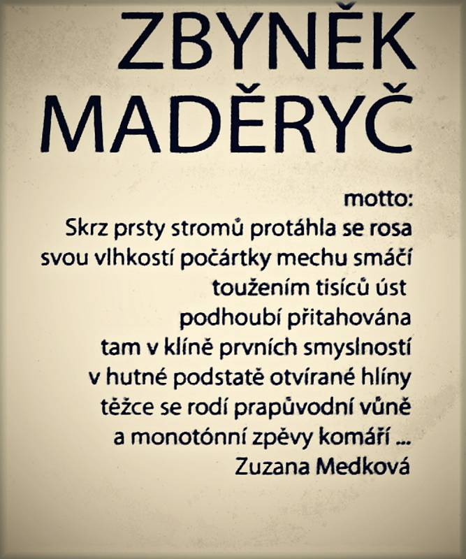 Na výstavu Éra prvocitu Zbyňka Maděryče se mohou návštěvníci přijít podívat do 31.7.2021.