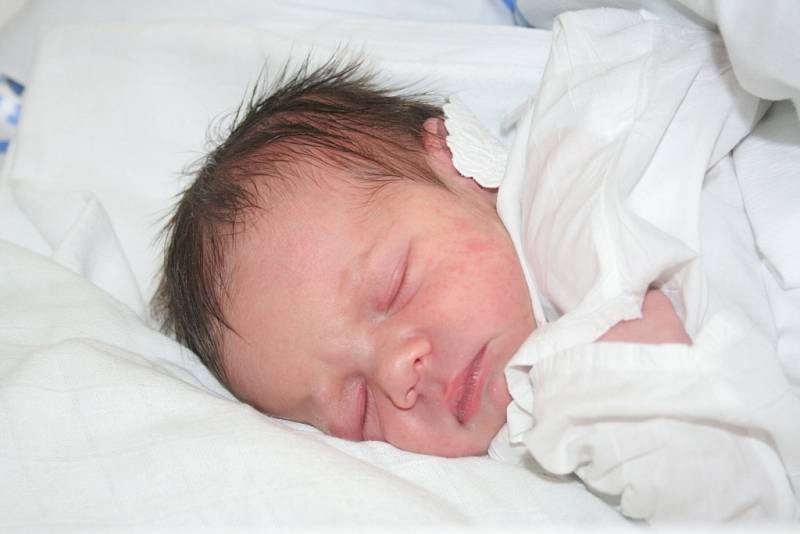 Vít Sedláček, 15. 4. 2013, Klobouky u Brna, 53 cm, 3, 5 kg