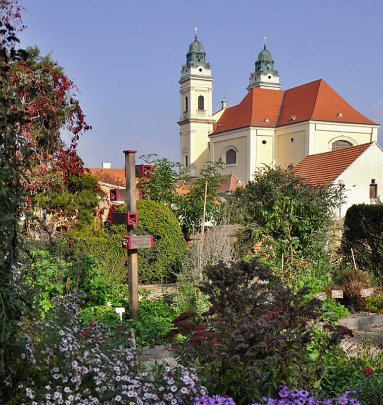 Věra Žďárská je odborná garantka valtické bylinkové zahrady. Zajišťuje pro veřejnost rovněž širokou paletu zajímazvých kurzů.