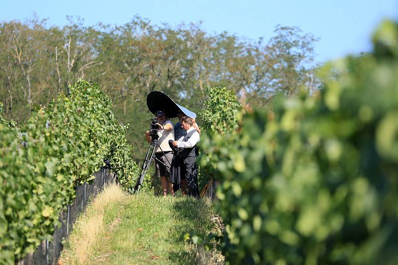 Dokument Moravští Chorvaté – zrazený národ poprvé uceleně osvětluje téměř pětisetletou historii Moravských Chorvatů, kteří pobývali i na Břeclavsku.