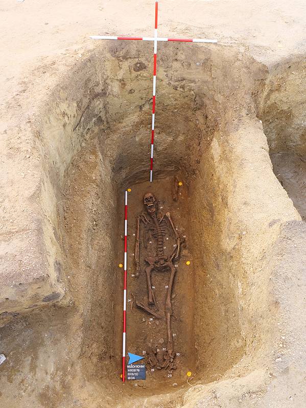 Na Mušově u novomlýnských nádrží pokračuje archeologický výzkum jednoho z největších pohřebišť germánských Langobardů ze šestého století našeho letopočtu. Zaujal objev téměř neporušené kostry bojovníka, který byl pochovaný s kopím a svými dvěma psy.