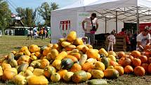 V Pohořelicích se koná v sobotu a v neděli V Poho Food Fest