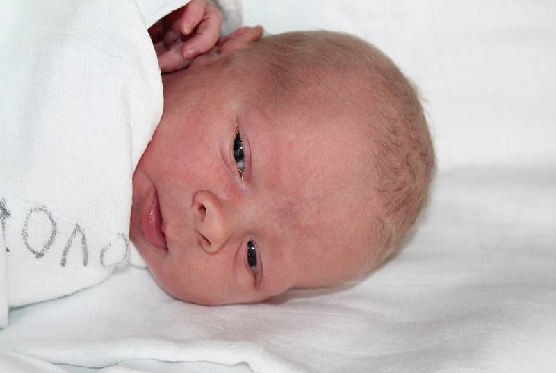 Radim Bartoš, 20.10.2015, Podivín, 52 cm, 3,5 kg.