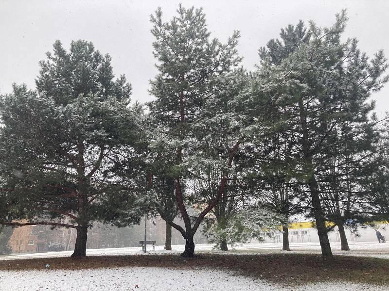 První sníh napadl v pátek i v Brně.