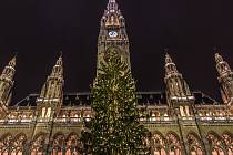 Rozsvícený vánoční strom u vídeňské radnice. Vánoční trhy začaly ve Vídni už v pátek jedenáctého listopadu. 