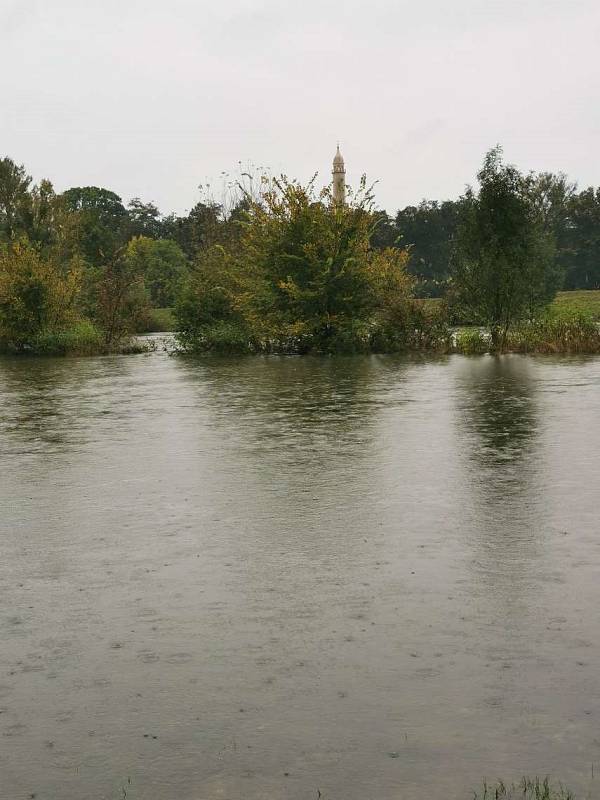 Rozlitá Dyje mezi Podivínem a Lednicí .