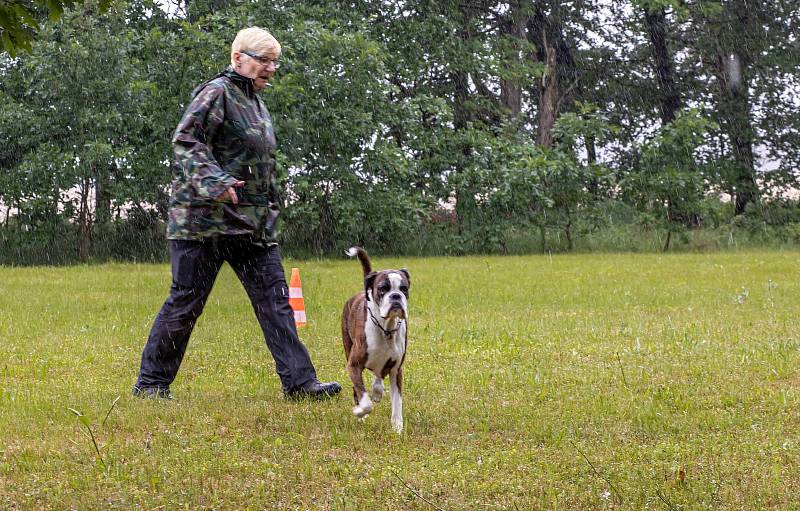 Jihomoravská brigáda Svazu záchranných brigád kynologů ČR pořádala v Břeclavi Pohár plemen.