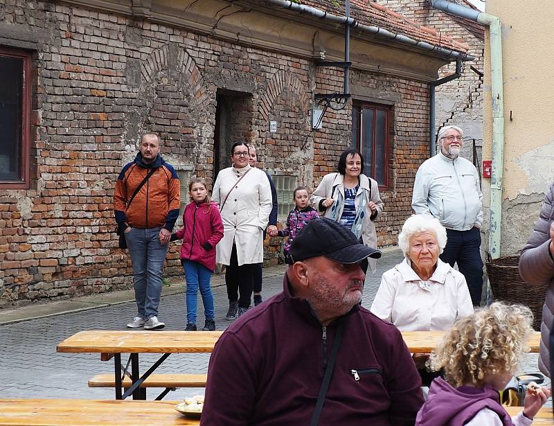 Nejmenší výstavu s největším obrazem měl malíř jižní Moravy Antonín Vojtek v historickém sklepě v Podivíně.