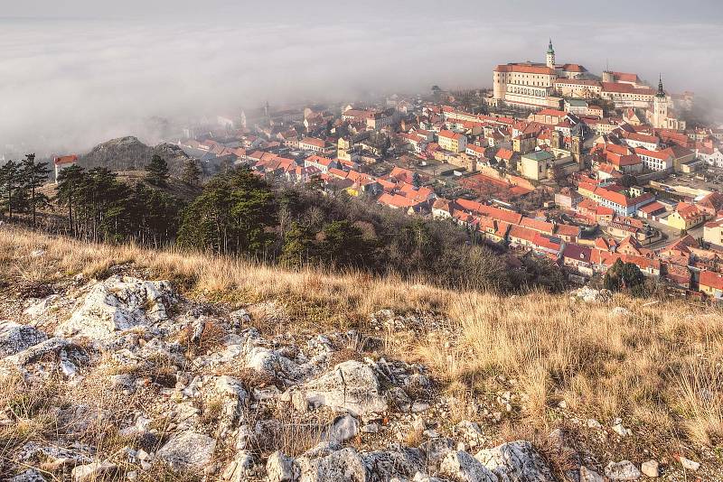 Dominantou města Mikulov je zámek. Při dobrém počasí je na něj krásný výhled ze Svatého kopečku.