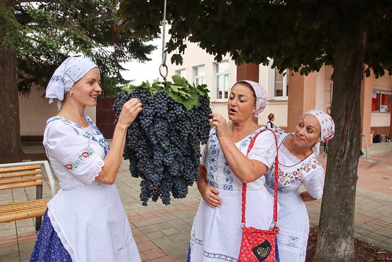 Ohlédnutí za letošním vinobraním ve Velkých Pavlovicích.