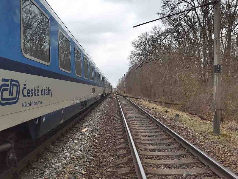 Pád stromu zastavil železniční dopravu na trati nedaleko Lanžhota na Břeclavsku.