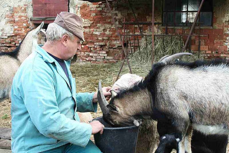 ZOO Hrušky