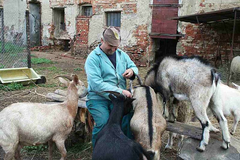 ZOO Hrušky