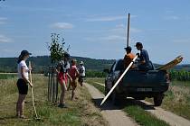 Dobrovolníci z Okrašlovacího spolku Mikulov získali peníze na novou výsadbu stromů. Tentokrát vysadí Povidlovou alej, díky Nadaci Partnerství.