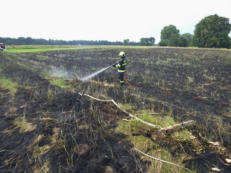 Břeclavští hasiči v pondělí pomohli rakouským kolegům s likvidací požáru trávy.