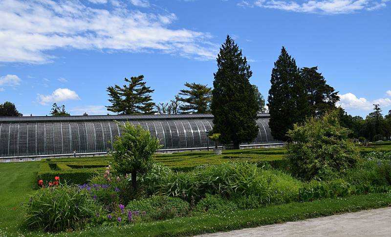 Putování lednickým zámeckým parkem se v sobotu se zahradním architektem Přemyslem Krejčiříkem zúčastnily desítky lidí. Komentovaná prohlídka byla součástí Víkendu otevřených zahrad.